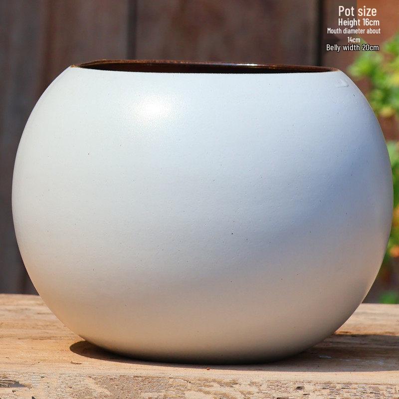 Handmade Coarse Pottery Tall Flower Pot for Succulents and Green Plants – Breathable Ceramic Jar for Bird of Paradise & Bougainvillea