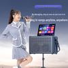 Sansui C13 Outdoor & Home KTV Karaoke System