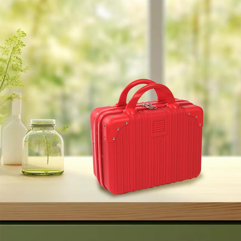 Lidu Portable Multipurpose Storage Case 14 inch