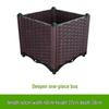 Extra Large Yellow-Edged Rooftop & Balcony Vegetable Planter Box