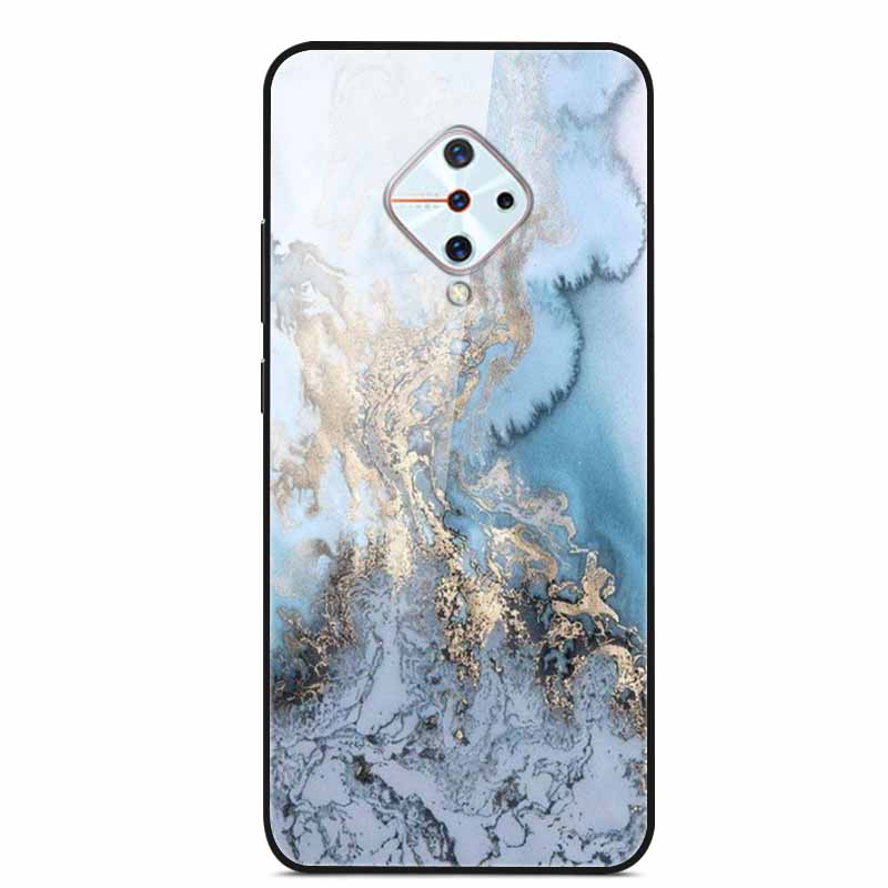Tempered Glass Case For Vivo V17 Case Russia Glass Back Cover Soft Bumper For Vivo V17 Phone Cases V 17 Funda Y9s S1 Pro Coque