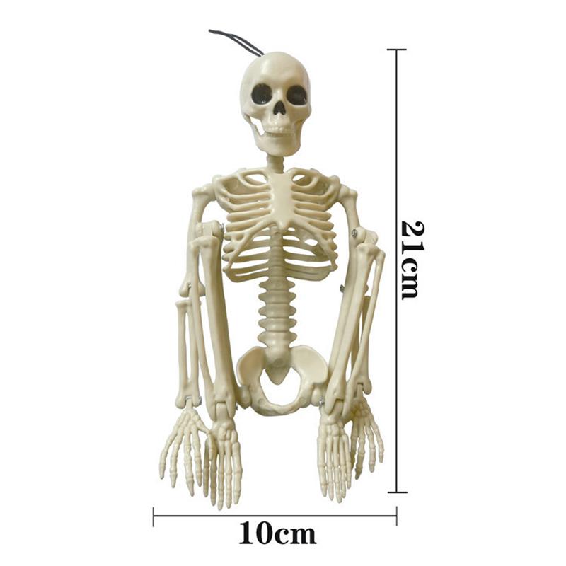 Human Skeleton Party Dressing Plastic Home Decoration Simulation Terrifying Appearance Skeleton Props Plastic Skeleton Halloween