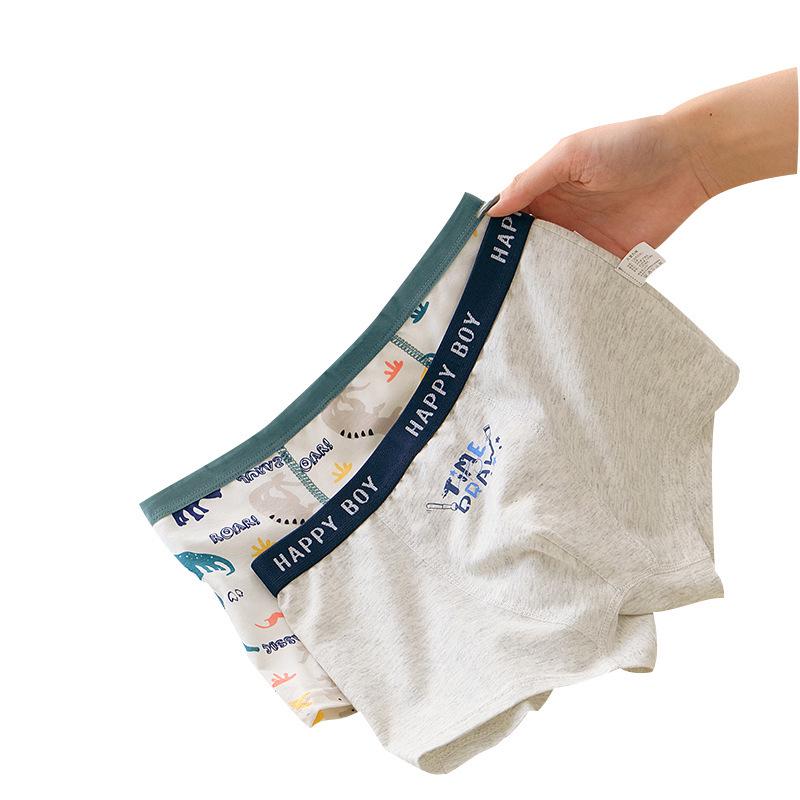2-Piece Box: Boys' Cotton Boxer Briefs for Toddlers and Kids (Medium & Large)