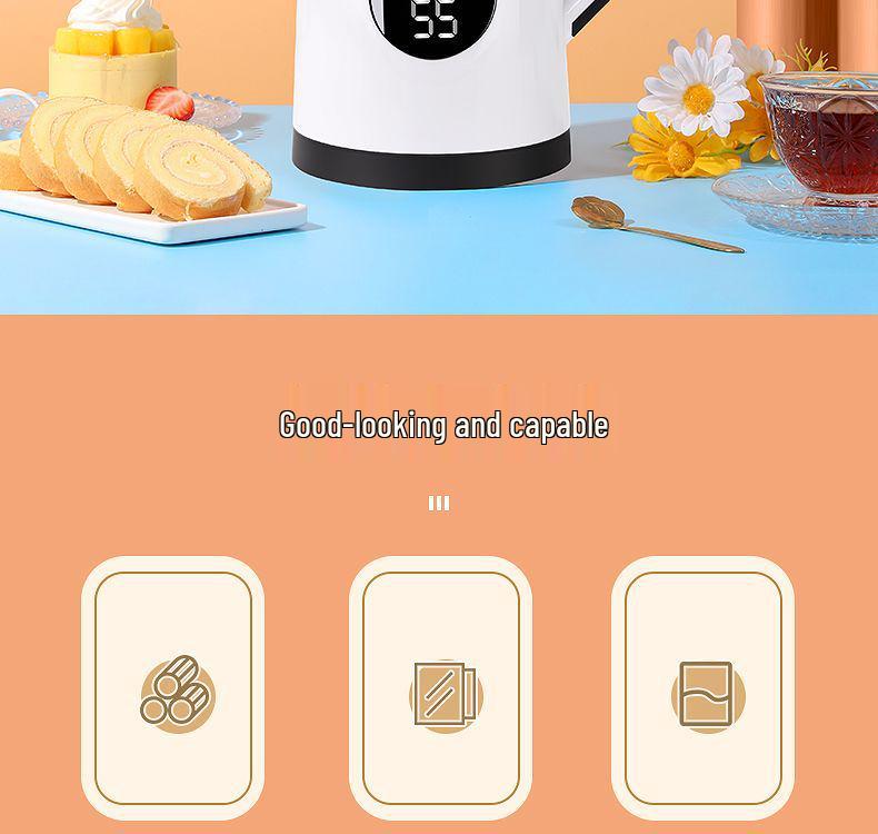 Insulated Electric Kettle with Auto Power-Off: Essential for Student Dorms