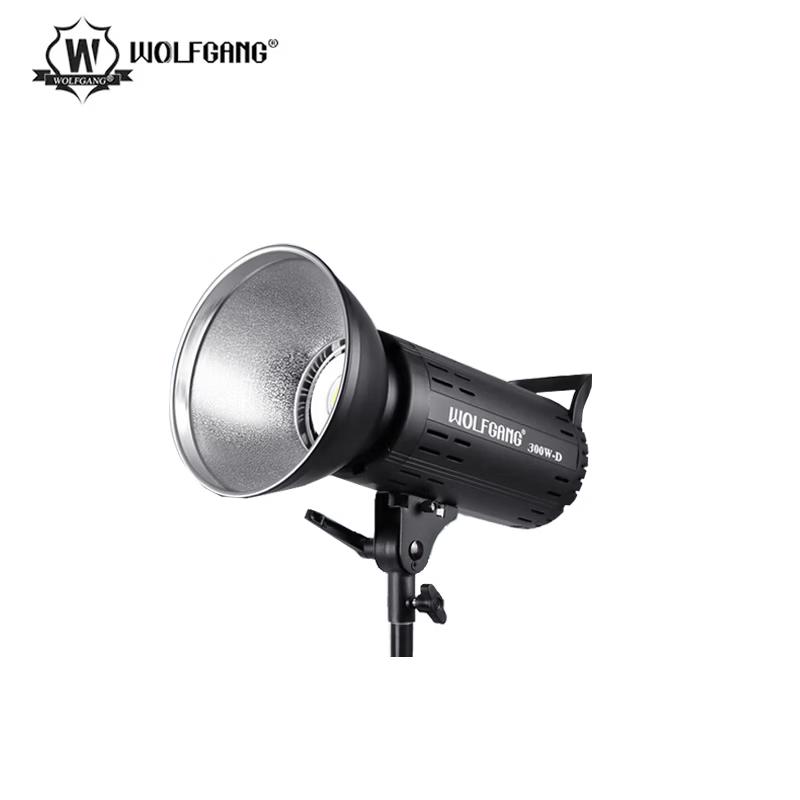 WOLFGANG 300W Single Color LED Video Fill Light