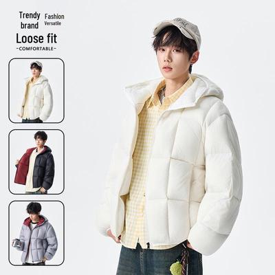 2025 Men's Hooded Winter Down Jacket - Casual, Thick, Warm, White Duck Down Coat