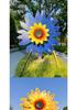 Children's Double-Layer Rotating Sunflower Pinwheel Outdoor Decoration