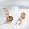 Brown Natural Zircon English Earrings For Women Unique Crystal Flower  Rose Gold Color High Quality Daily Jewelry
