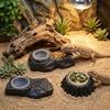 Wear Resistant Reptile Food Bowl Imitation Stone Amphibians Water Bowl Habitat Decor
