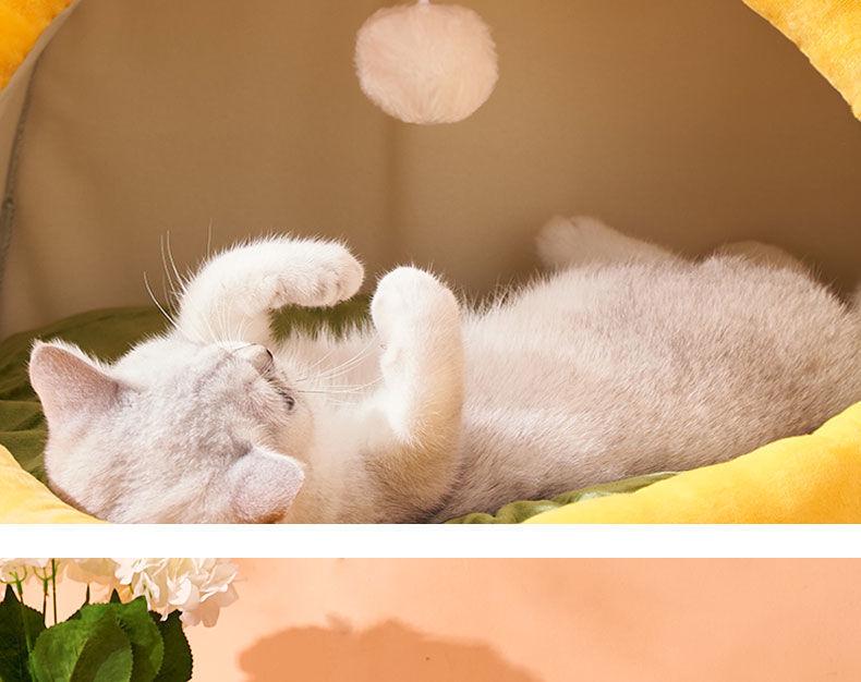 All-Season Cat & Dog Bed: Cozy Enclosed Pet House & Sleeping Mat