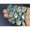11Pcs Abalone Shell Fancy Cabochon Loose Natural Gemstone 202Cts.Lot 28-29MM C-1705