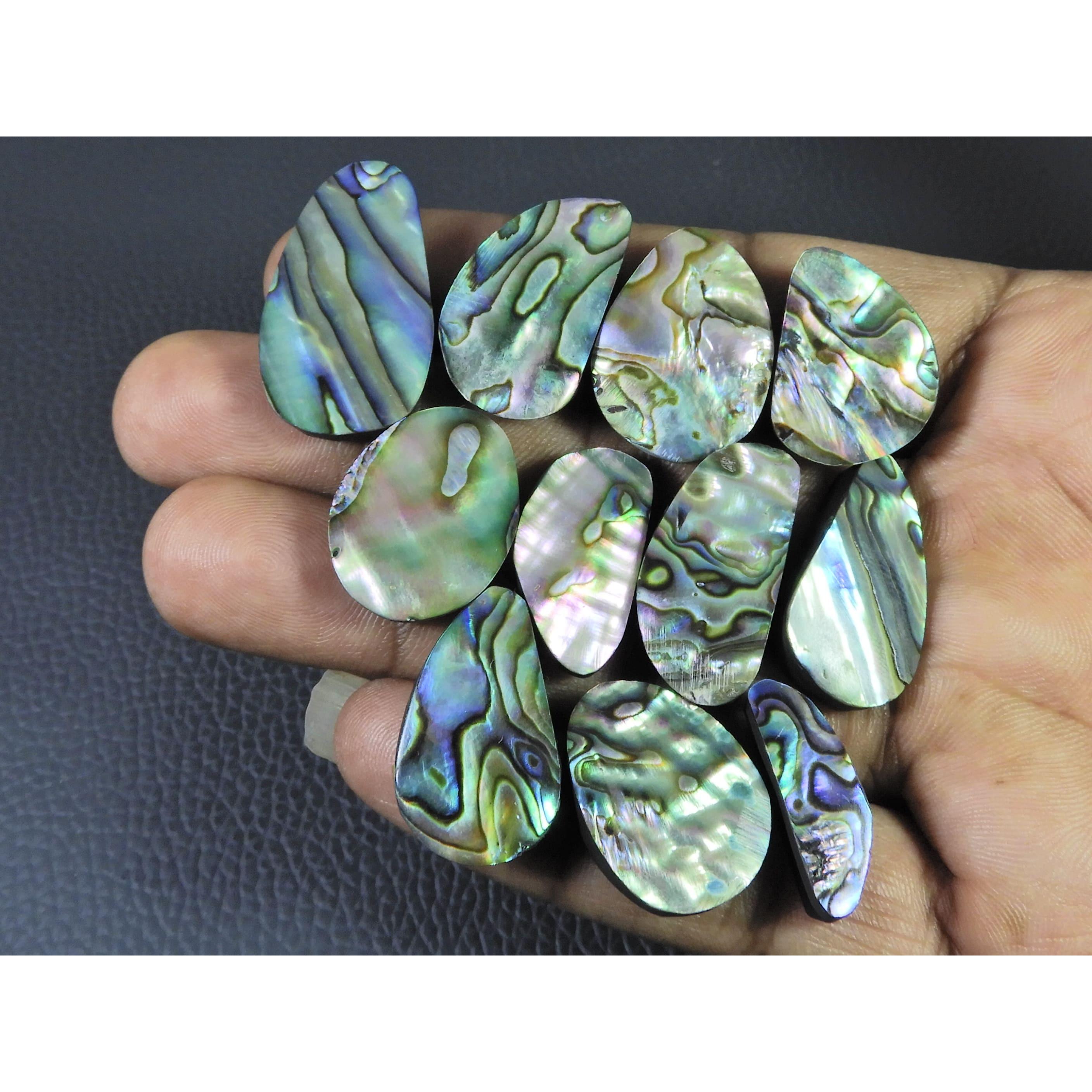 11Pcs Abalone Shell Fancy Cabochon Loose Natural Gemstone 202Cts.Lot 28-29MM C-1705