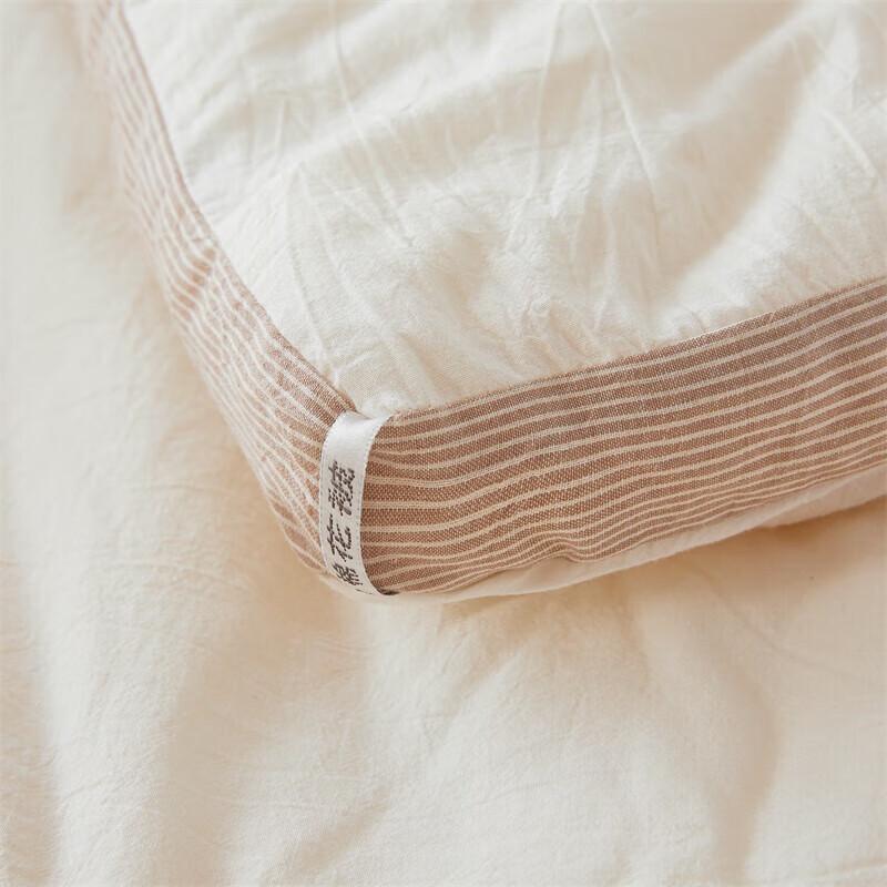 BAIWEISI Xinjiang 100% Cotton Winter Comforter