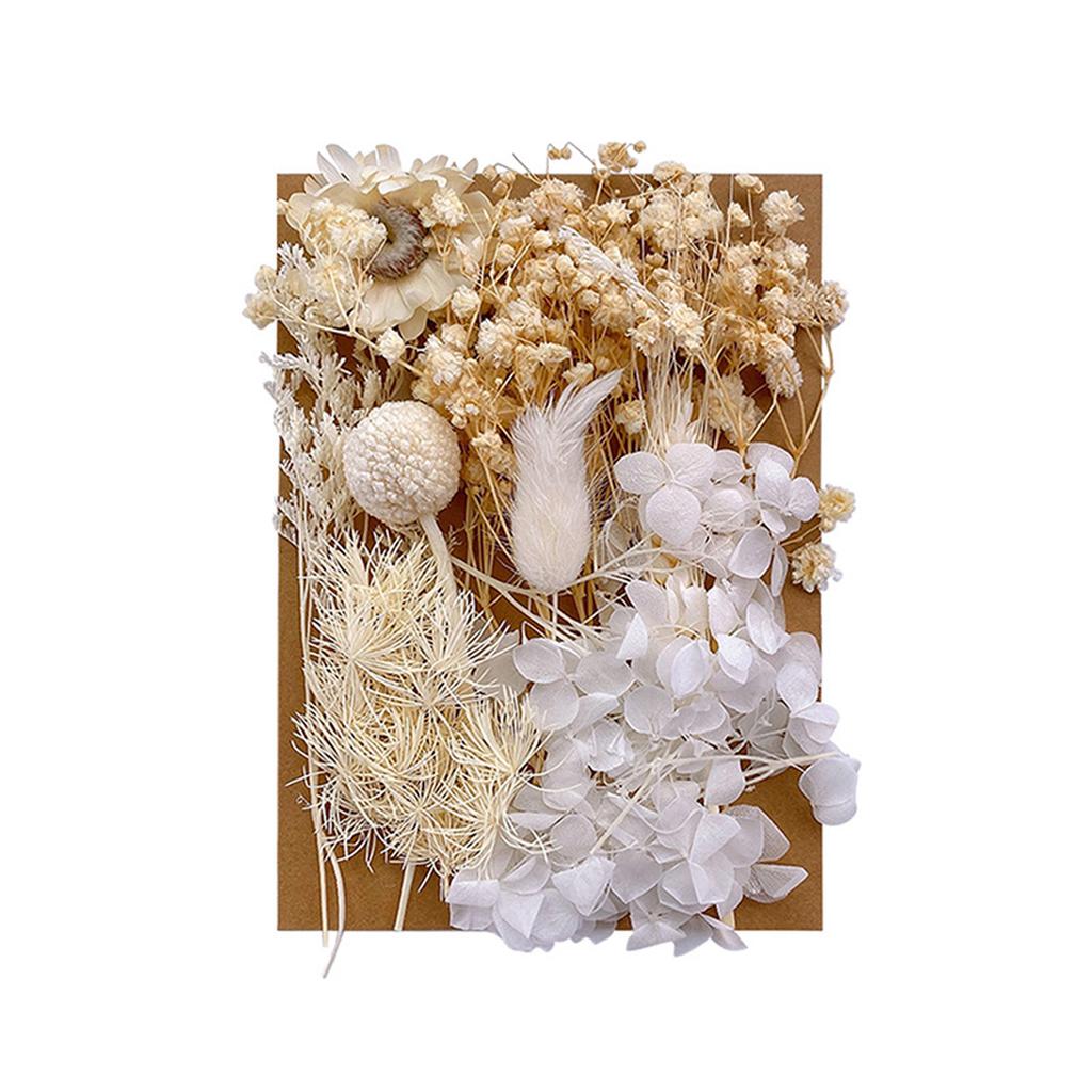 1 Bag Dried Flowers Pressed Dry Flower For DIY Phone Case Epoxy Resin Filling Pendant Jewelry Making Crafts Nail Art Decor