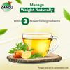 Zandu Lemon Honey Green Tea 25 Tea Bags Refreshing Herbal Tea With Smooth Taste Travel Friendly Anytime Beverage