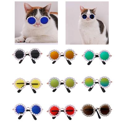 Oblečky a obuv – Doplňky pro psy