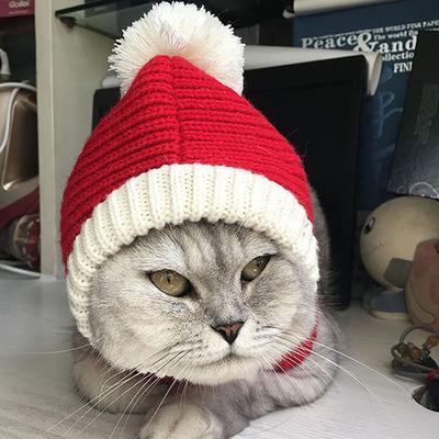 Winter Pet For Small Medium Large Dogs Christmas Dog Cap Dog Cat Hat Pet Cosplay Dog Accessories