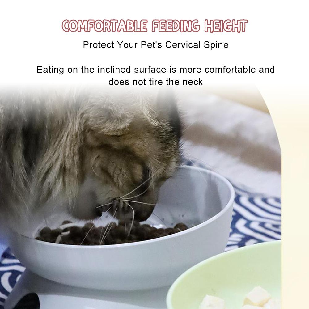 Erhöhte Katzennäpfe, keine Verschüttungen, geneigte, erhöhte Futter- und Wassernäpfe für Katzen und kleine Hunde