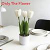 Tulip Flower Arrangement With Plastic And Fabric For Wedding Decor And Home Styling