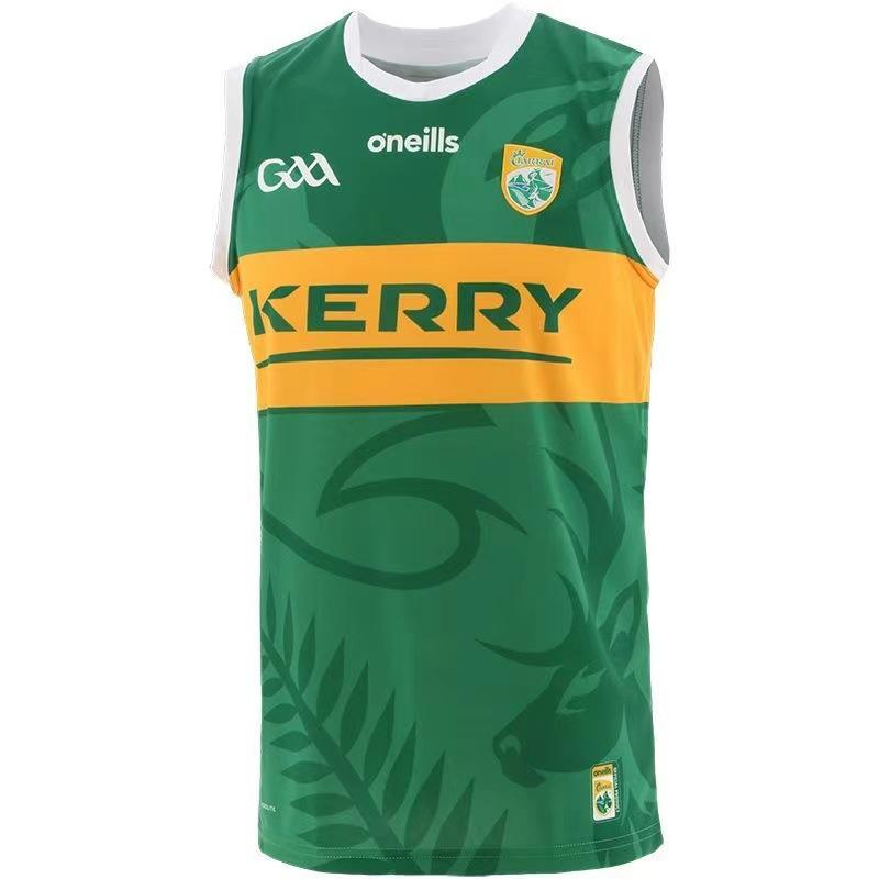 GAA Limerikas Trīspusīgs Dublinas Vilfordas Derry