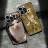 Pet Cat Funny Memes Phone Case For Apple Iphone 16E 16 Pro Max 15 Plus Soft 13 12 Mini Cover 11 14 Pro Max Capa 8 7 SE Shell Coq