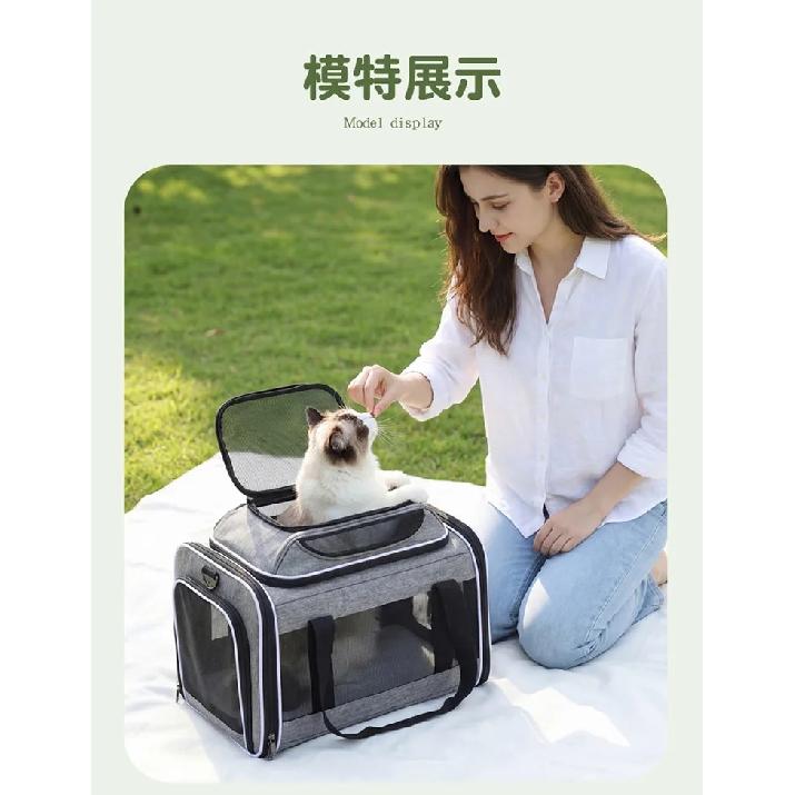 Foldable Pet Carrier Bag for Cats Small Dogs, Breathable Multi-Opening Soft Travel Tote with Padded Base and Safety Leash