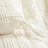 Muji Style Class A Jacquard Soybean Fiber Double Winter Quilt