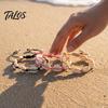 Flexible Rope Bracelets for All Sizes Handmade Seashell Bracelet, Natural Shell Boho Beaded Adjustable Retractable Knot Wristbands Woven String