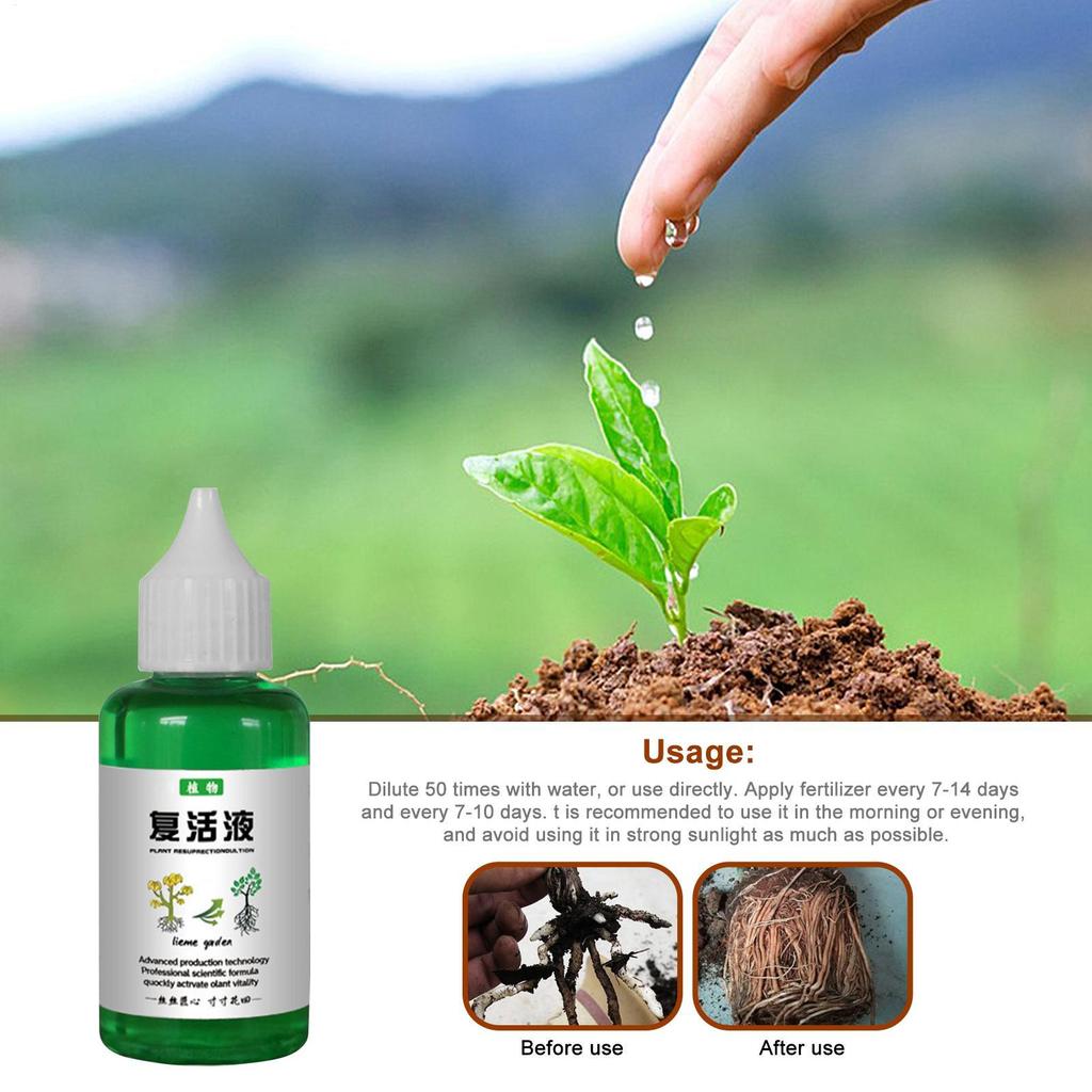 50ml Plant Revitalizer Resurrection Liquid Fertilizing Liquid Concentrate Fertilizing Liquid Concentrate Plant Promotes Growth