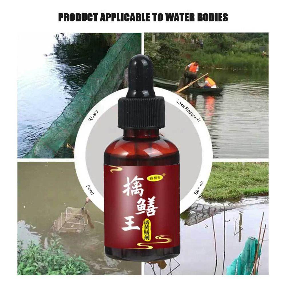 Supplies Eel lure Scent Fish Attractants 2024 Fishing Bait Additive