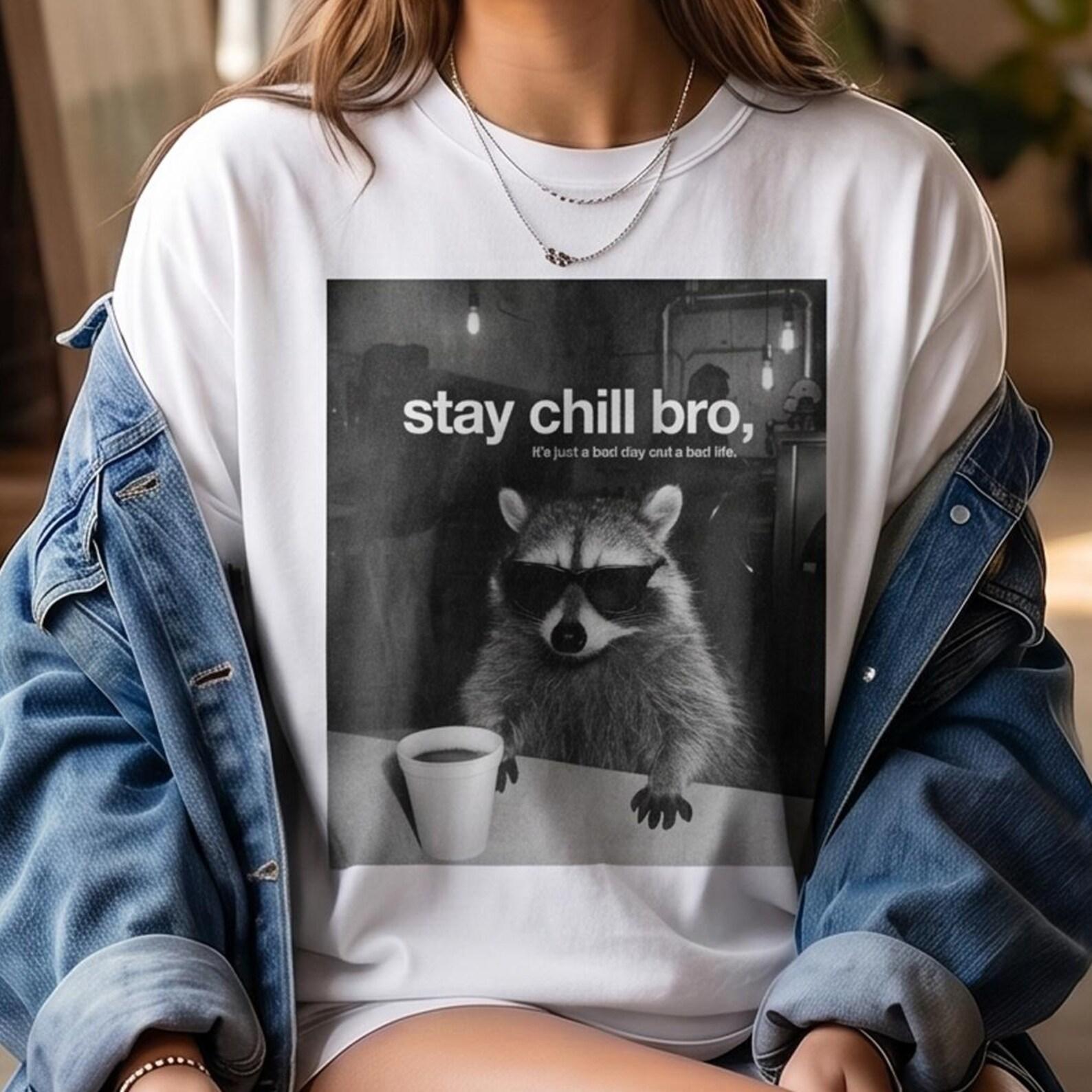 Funny Raccoon Motivation Shirt, Stay Chill Bro Graphic Tee, Retro Meme Animal Art, Positive Quote Gift, Cool Raccoon Tee 2XL