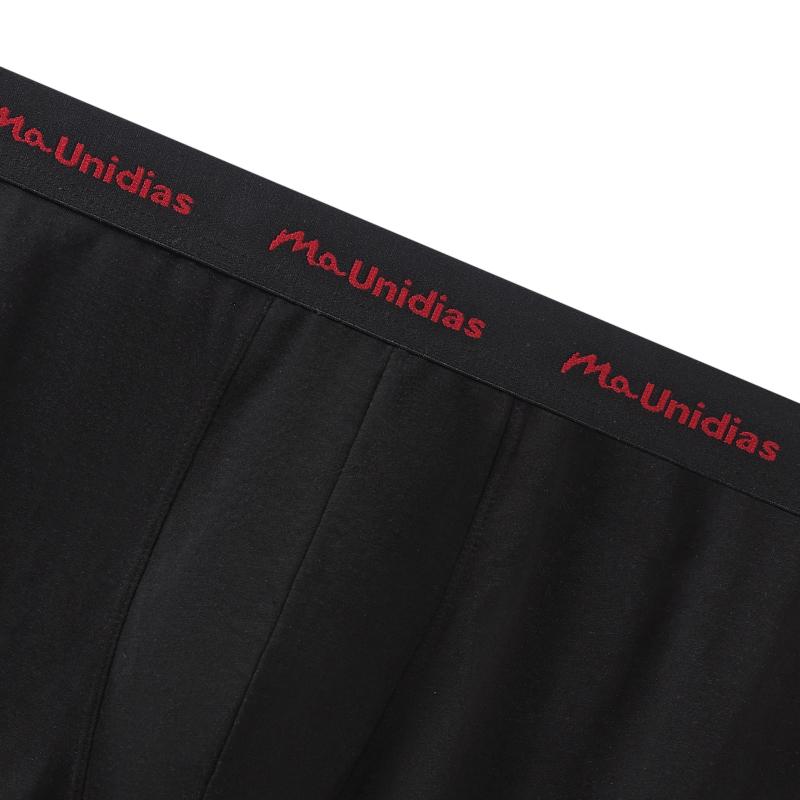 4 Piece Men's Panties Cotton Boxers For Man Underwear Elastic webbing Mens Underpants Sexy Trunks Boxershorts Calecon