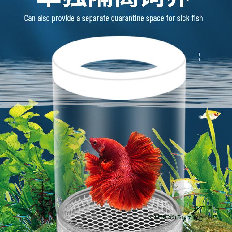 Guppy Fish Breeding Box for Small Fish, Fry, and Betta - Aquarium Isolation Tank
