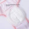 Small Dog Lace Dress Pet Clothes Anti-Harassment Underwear for Teddy Pomeranian All-Season Spring Summer Dog Fashion Accessory