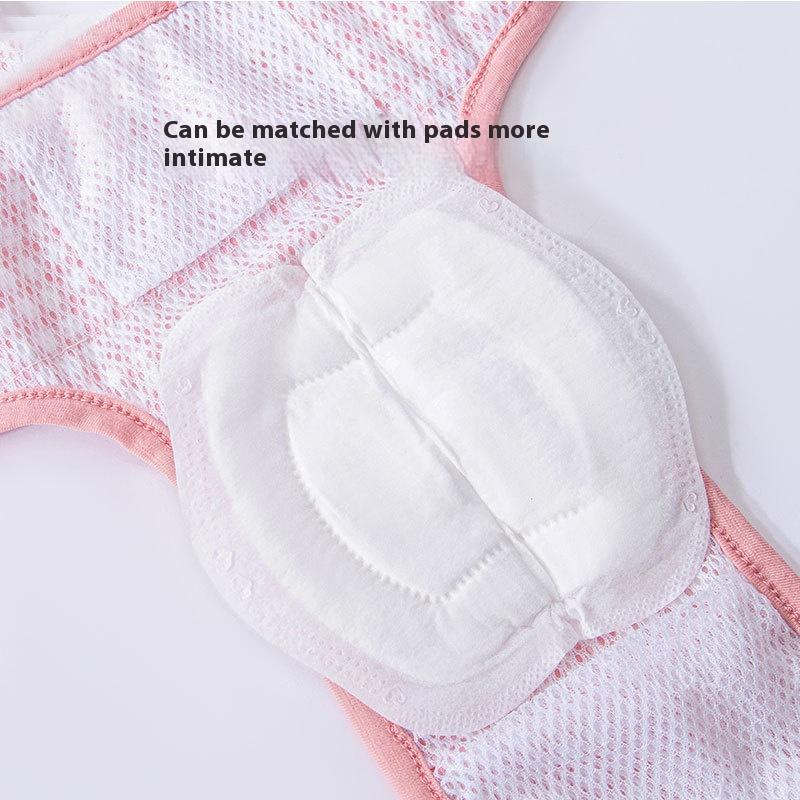 Small Dog Lace Dress Pet Clothes Anti-Harassment Underwear for Teddy Pomeranian All-Season Spring Summer Dog Fashion Accessory