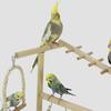 Bird Perch Stand Wooden Swings Ladders Toys With Removable Stainless Tray And Cup Parakeet Playground For Standing Chewing