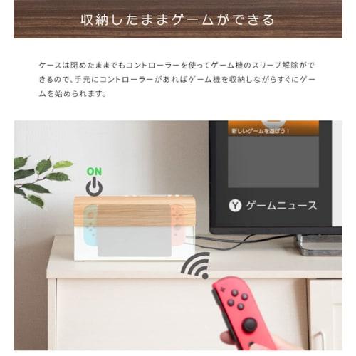 Miyatake Seisakujyo Storage Case Game Console Case TEER Brown