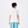 Converse Short Sleeved T Shirts Summer CV2622737