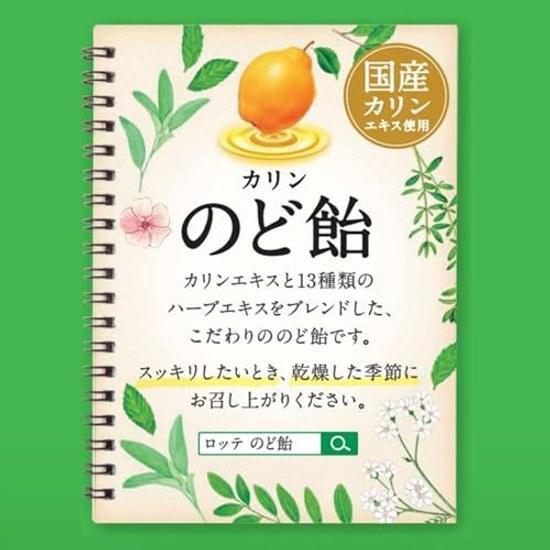 Lotte throat lozenges (bag) 102g (including individual packaging)