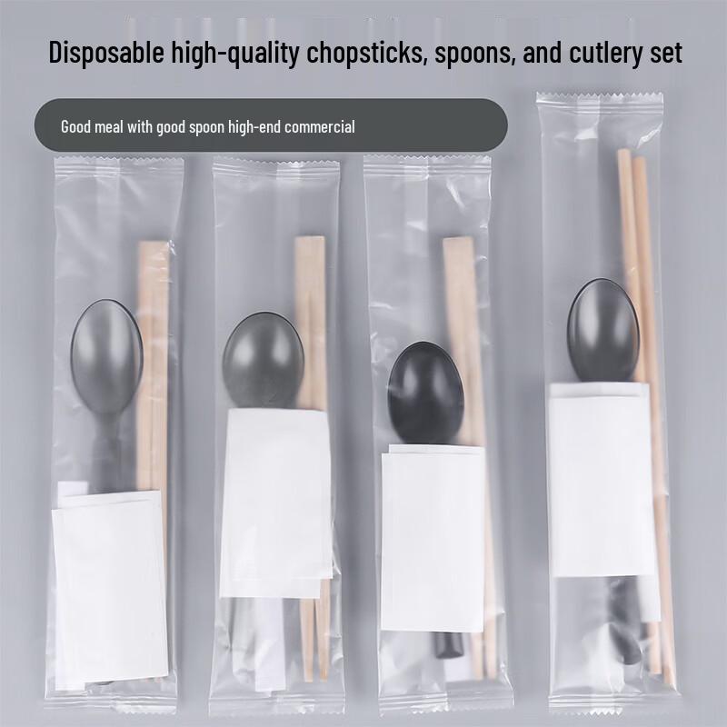 Xinjingzhou Disposable Picnic Tableware Set