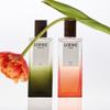 Loewe Essencia Elixir Eau de Parfum Pour Homme 100ml