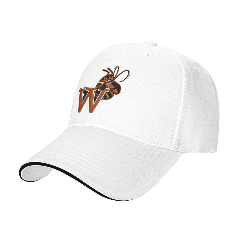 Waynesburg Aa University Casual Sandwich Baseball Cap Adjustable for Men for Women