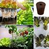 50pcs Hydroponic Growing Sponges Seed Grow Sponges Replacement Root Growth Sponges Seedling Starter Plugs Seed Starting Seed Pod