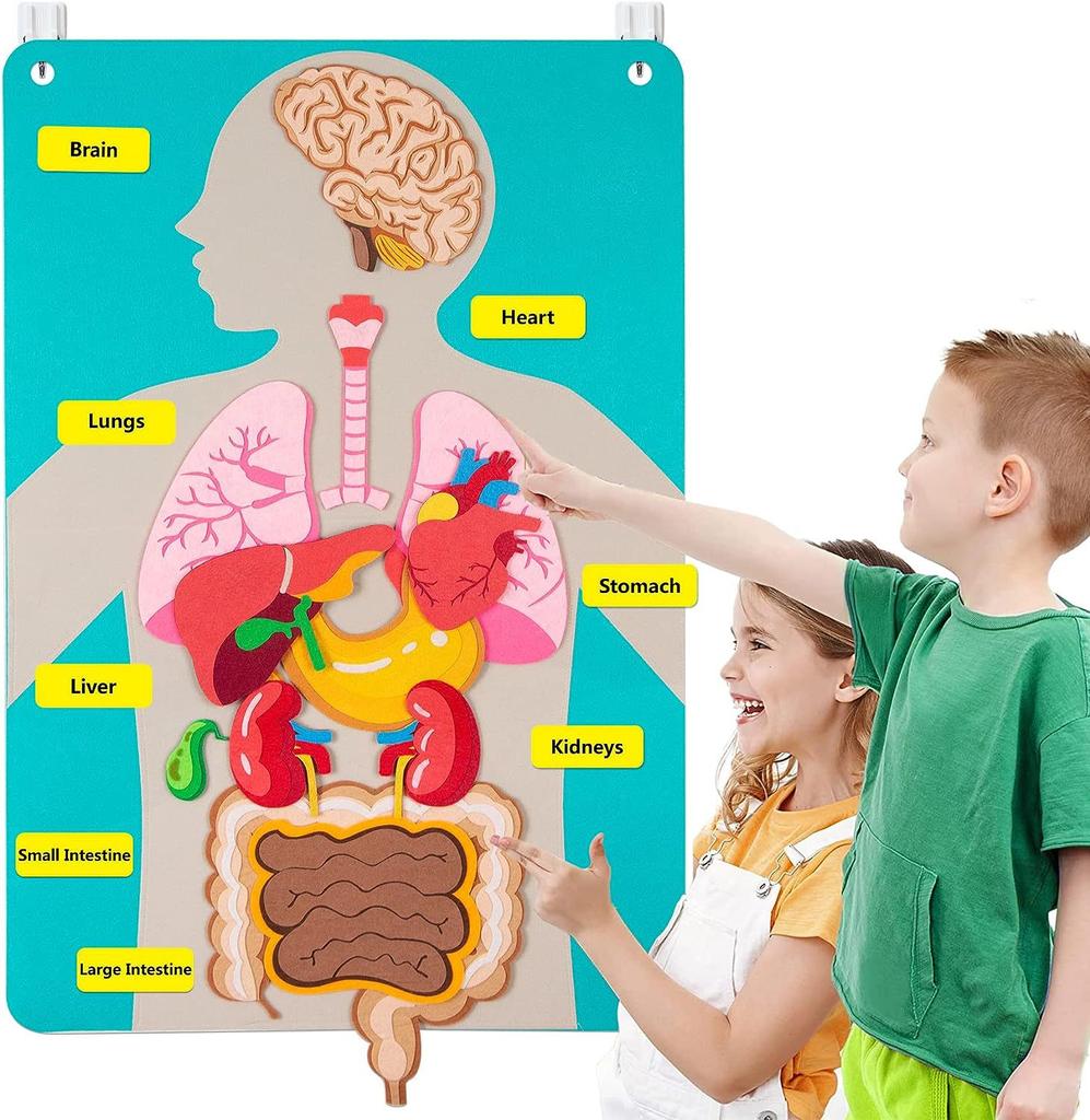 Pièces Montessori Ensemble Corps Tableau Feutre Histoires Livre d'Enseignement Pour Tout-Petits Jouet Sensoriel Enseignement Préscolaire Histoire Tableau de Voyage