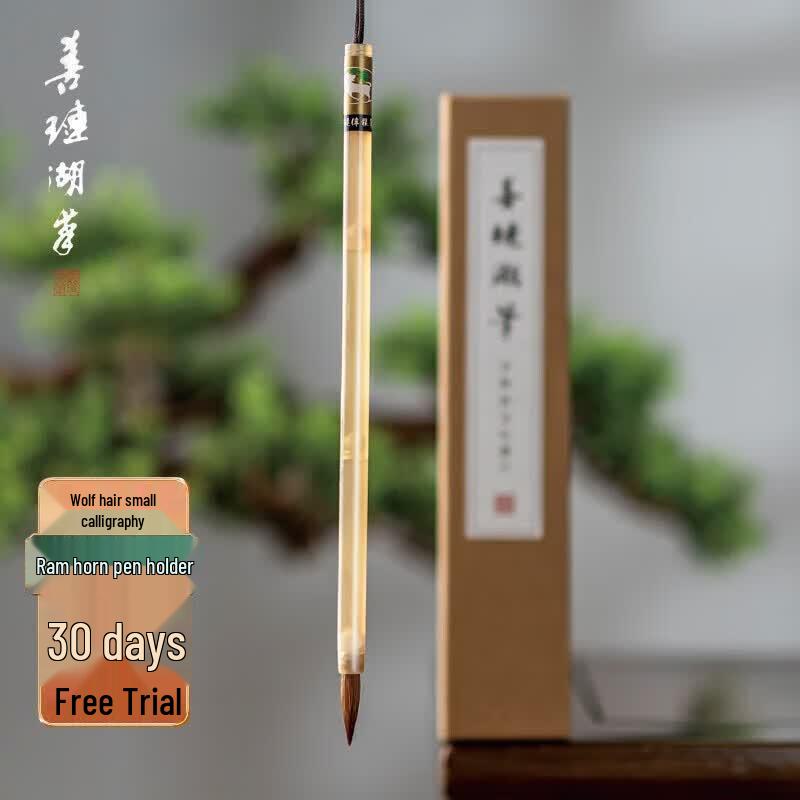 Shanlian Hubi Premium Wolf Hair Small Script Calligraphy Brush Set