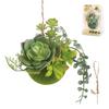 Fake Green Mini Hanging Deodorizing Succulent Moss Ball Air Purifier CT Catalyst Eclear S Size B Type
