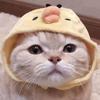 Painting Diy Full 5d Diamond Round Square Drill Rhinestone Cat Diamond Embroidery Picture Cross Stitch Handmade Home Decor Gift