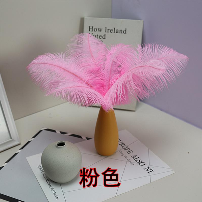 10 STÜCKE 20-25Cm Straußenfeder Bühnenauftritt Feder Handgefertigt DIY Schmuck Dekomaterial Straußenhaar