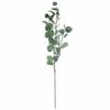 Kunstmatige Eucalyptus Tak