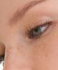 Essential Eye Palette